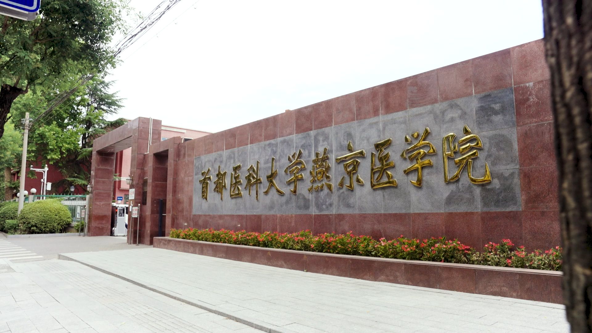 首都医科大学(首都医科大学口腔)