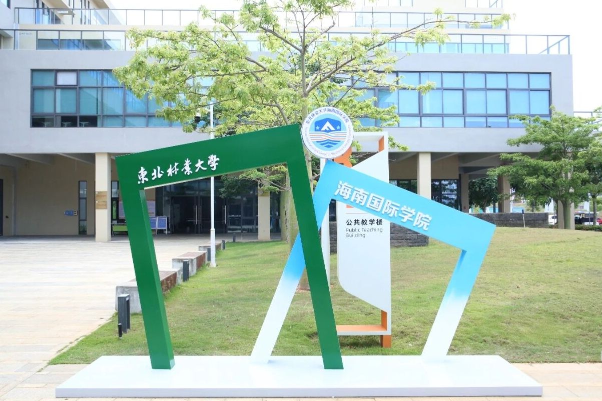 东北林业大学毕业证(东北林业大学毕业证书外皮)