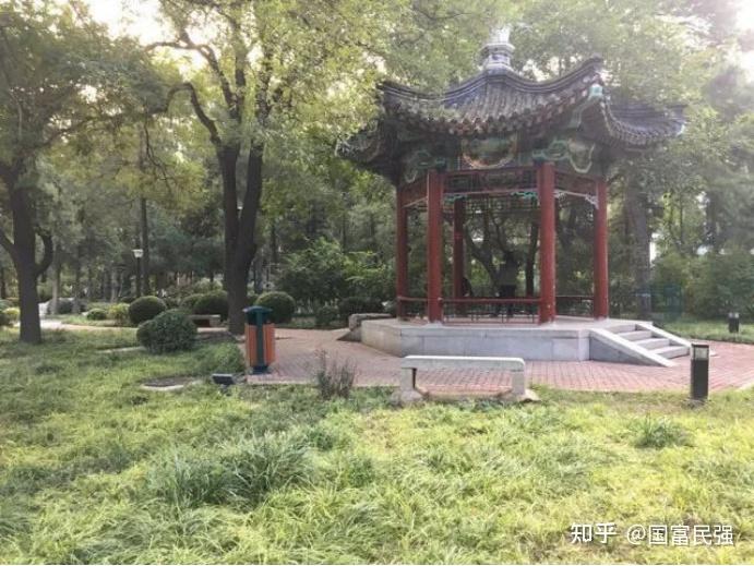 北京林业大学(北京林业大学研究生招生官网)