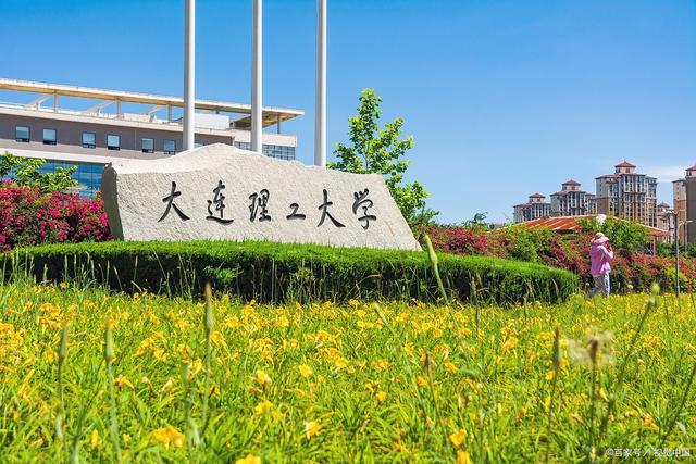 大连理工大学(大连理工大学大型仪器共享平台)