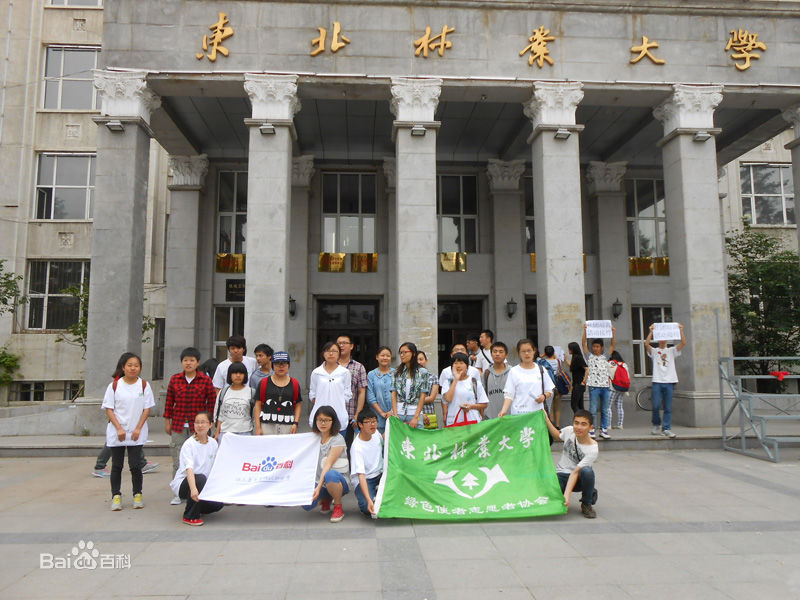 东北林业大学文凭(东北林业大学认可度怎么样)