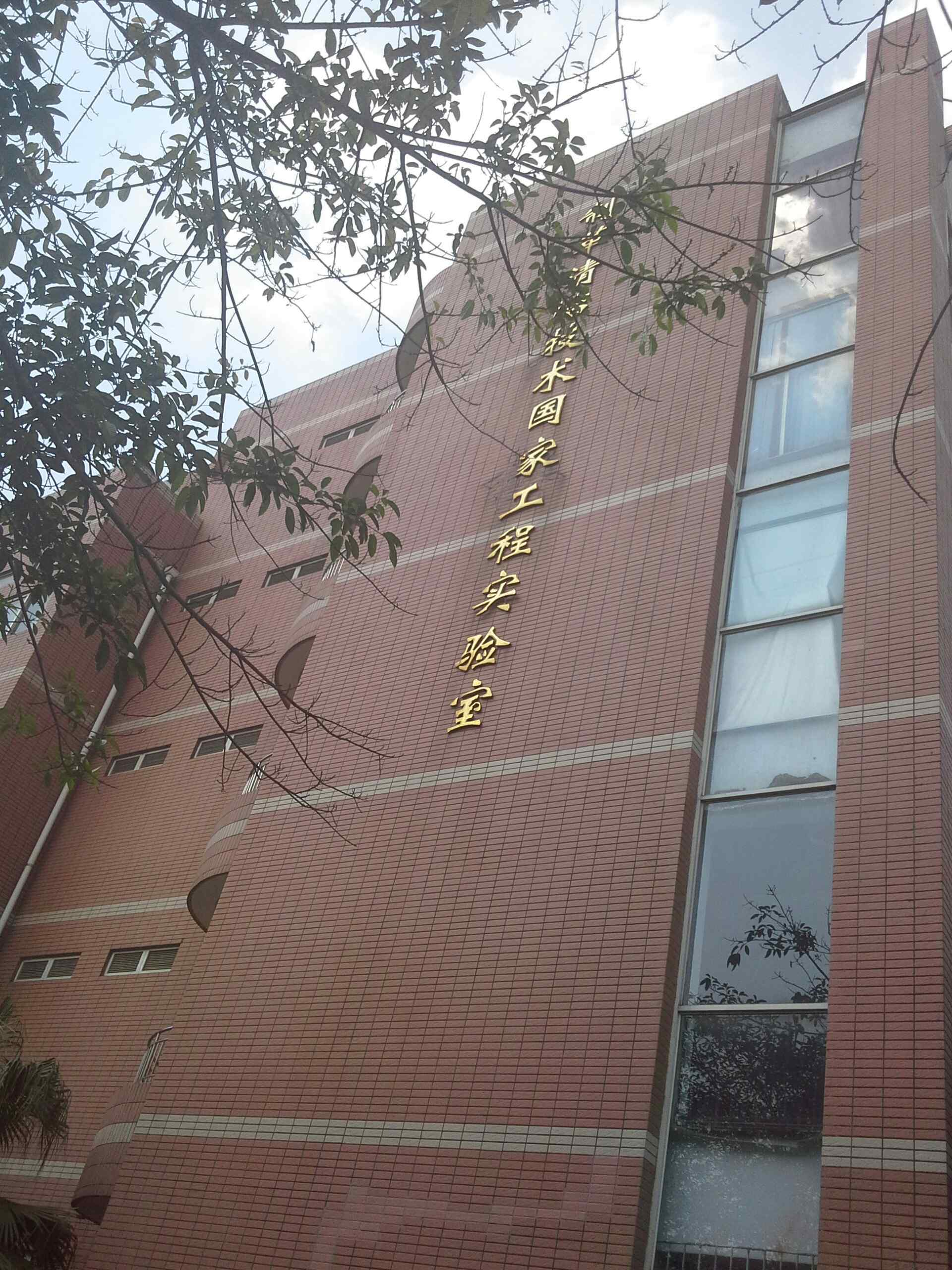 四川大学文凭(四川大学本科生毕业要求)