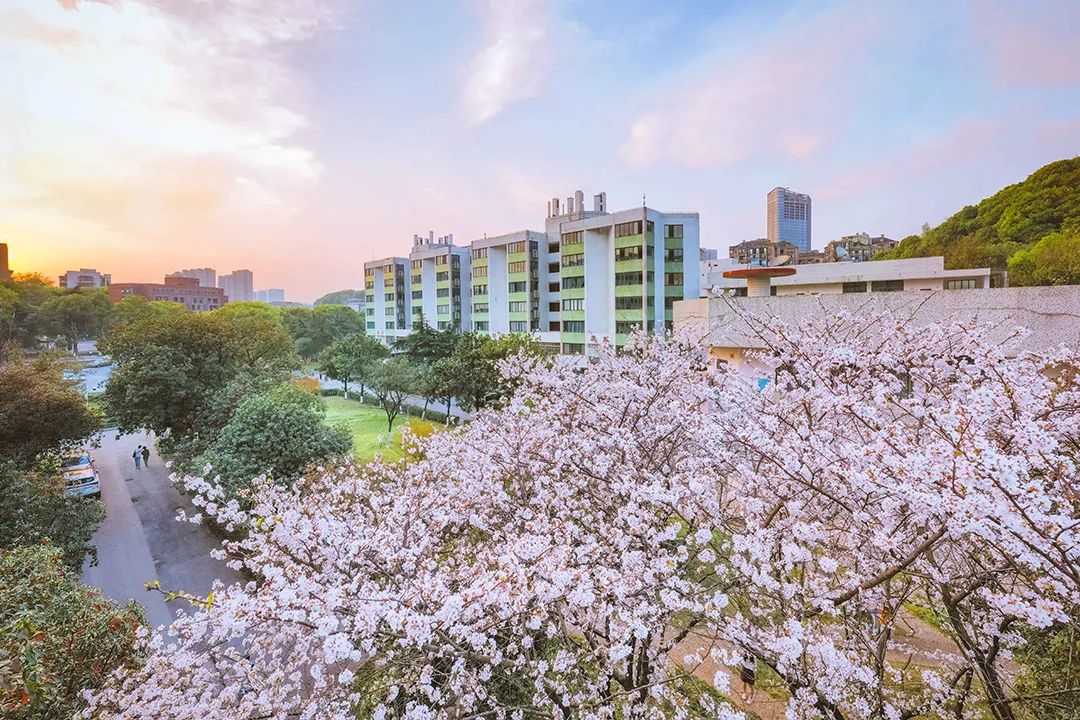 湖南大学(湖南大学排名)