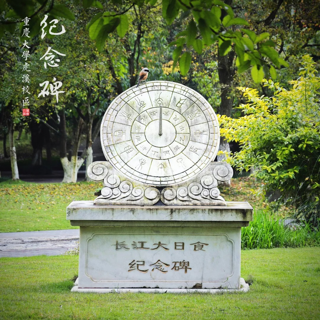 重庆大学毕业证(重庆大学毕业证补办流程)