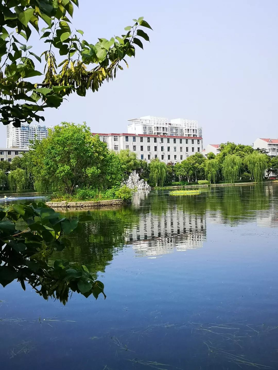 合肥工业大学(合肥工业大学研究生院)