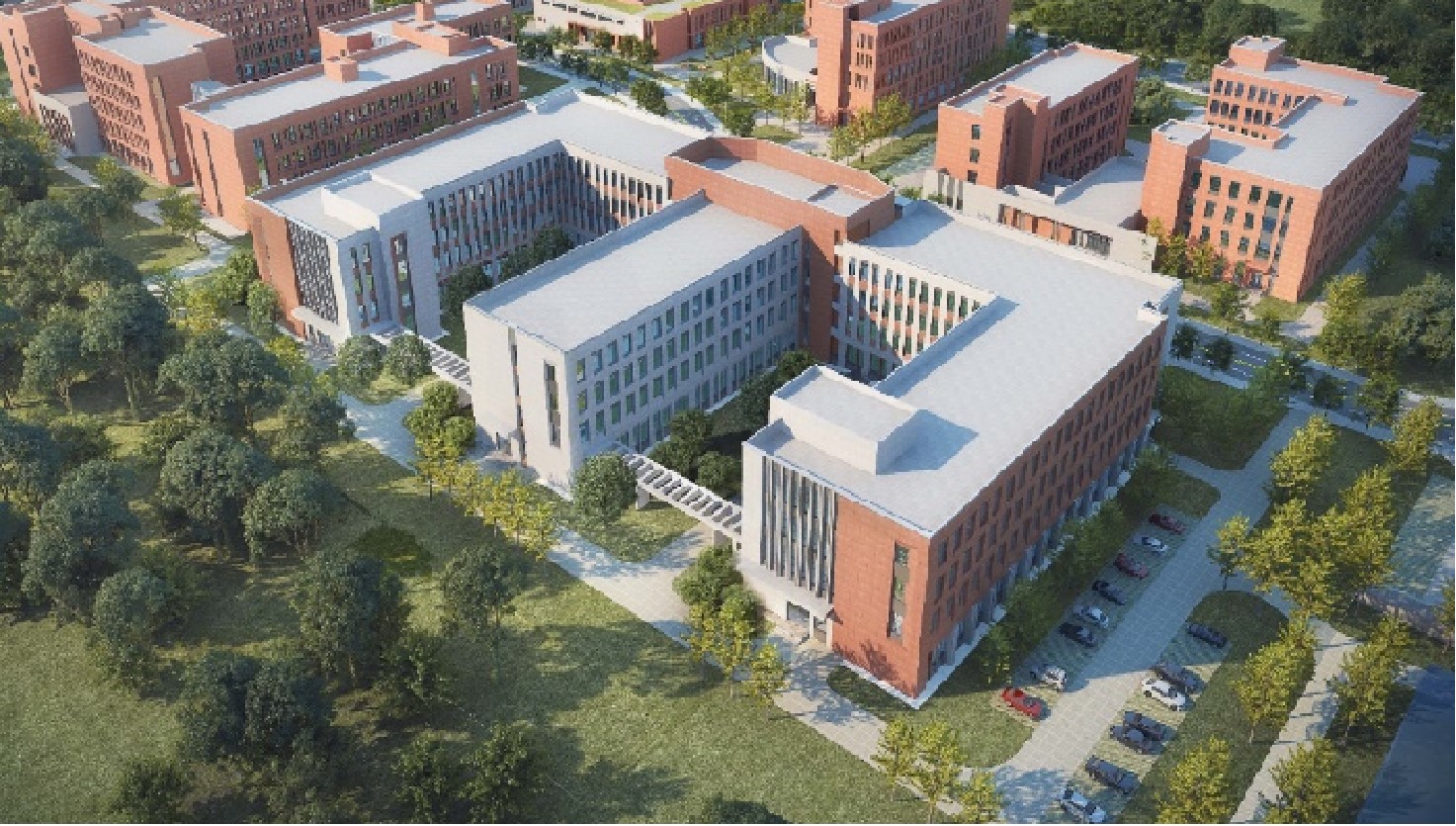 新疆大学(新疆大学官网)