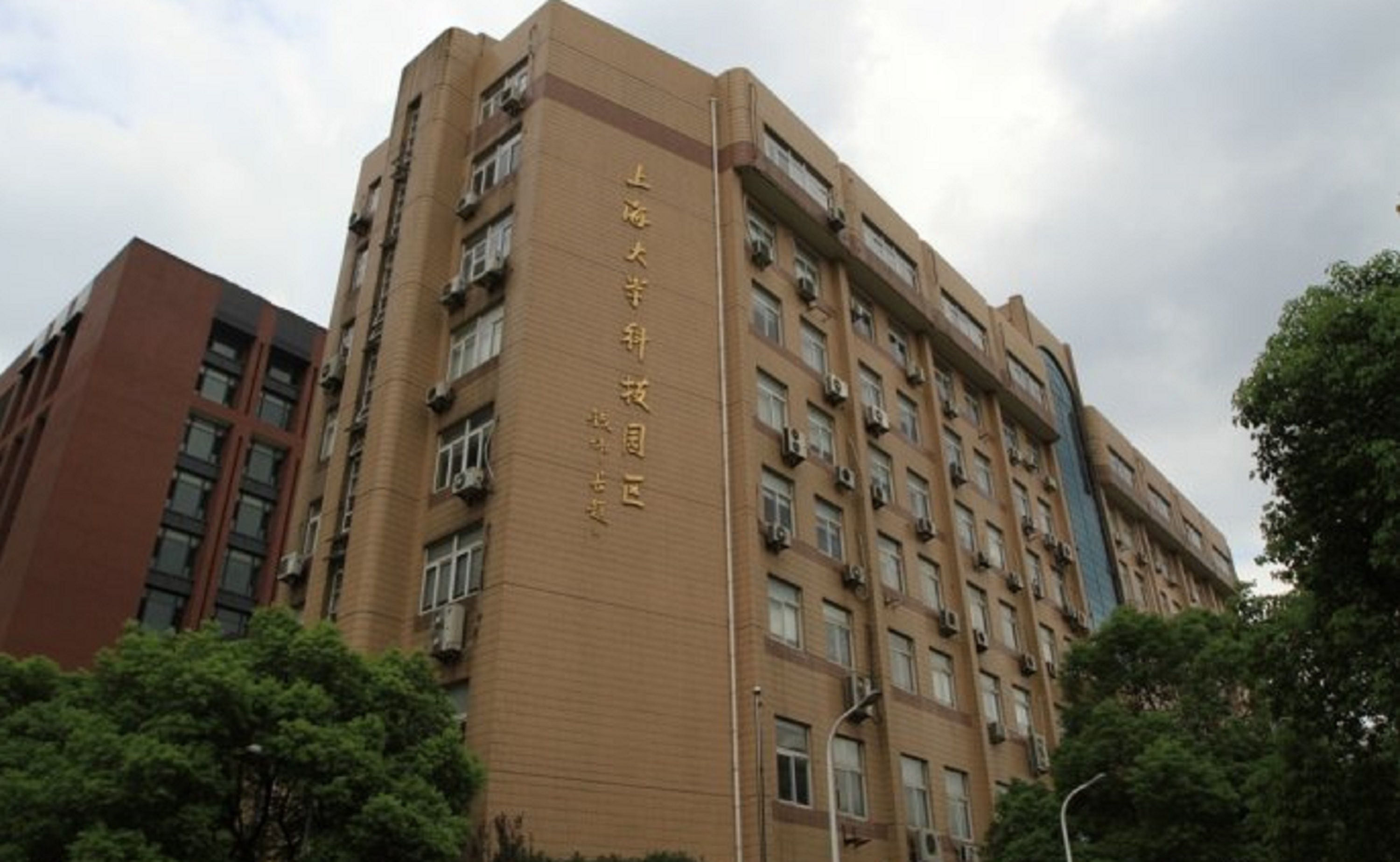 上海大学毕业证(上海大学毕业证正反面样本)