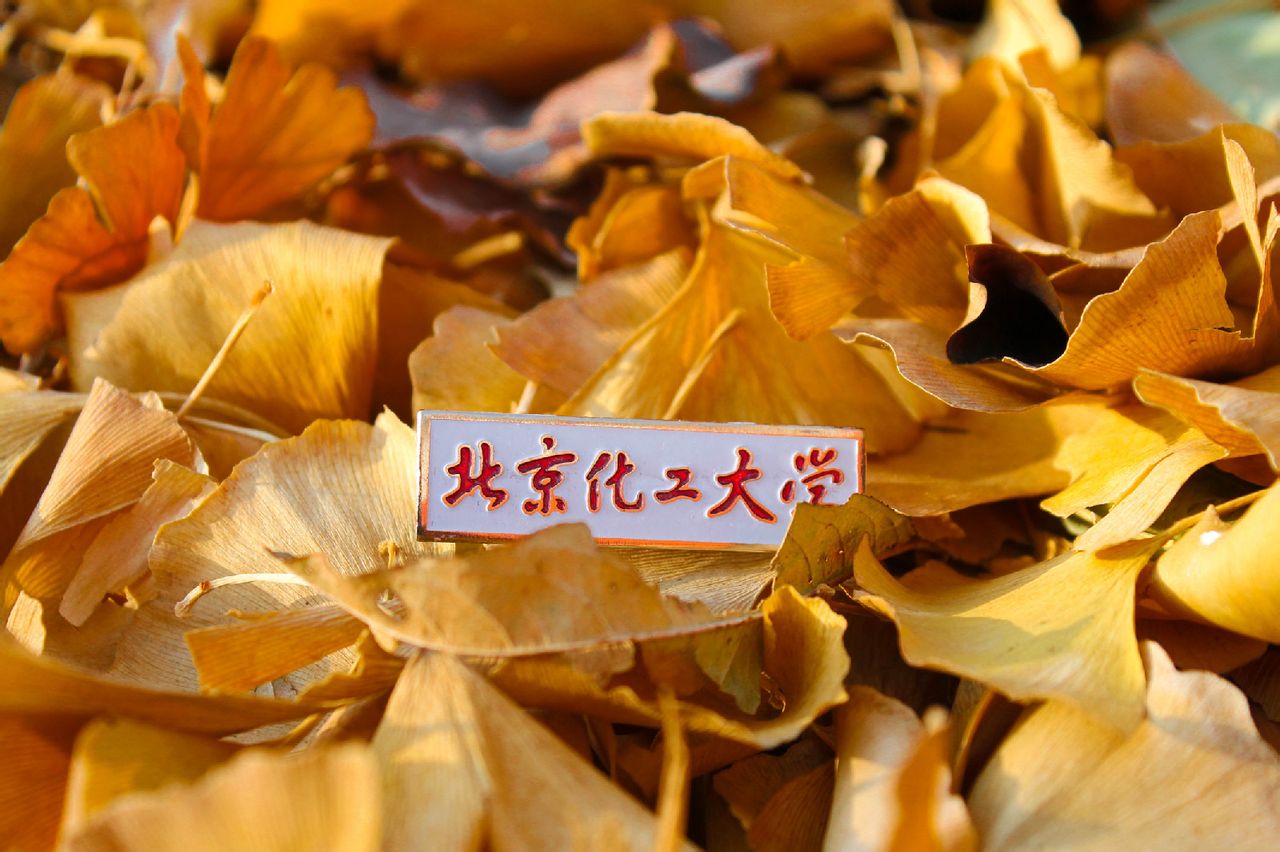 北京化工大学毕业证(北京化工大学毕业证成绩单)