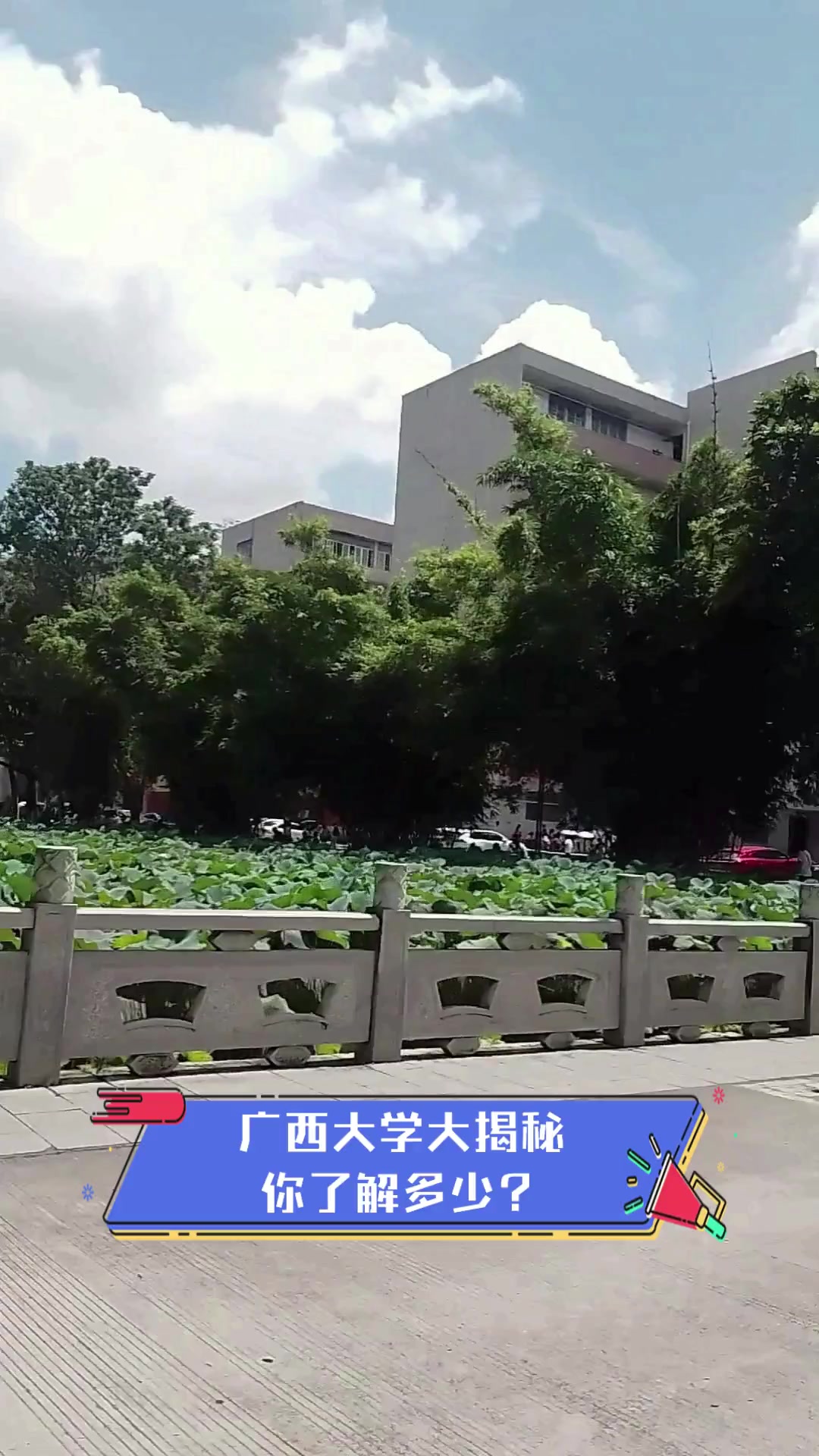 广西大学(广西大学电气工程学院)