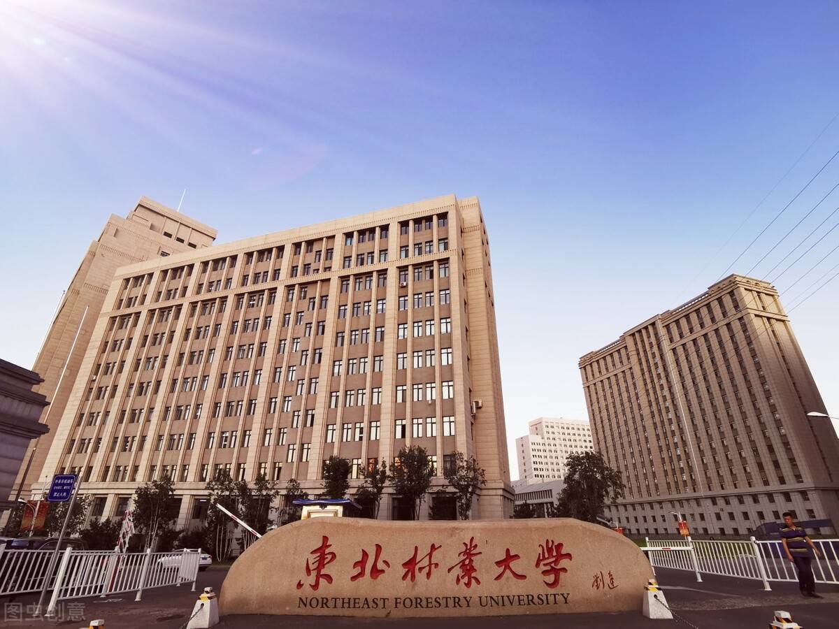 东北林业大学是985还是211