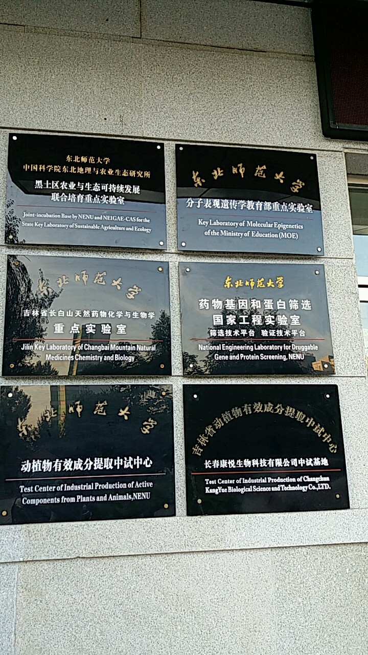 东北师范大学净月校区毕业证