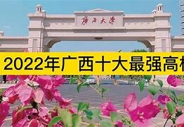 广西大学毕业条件