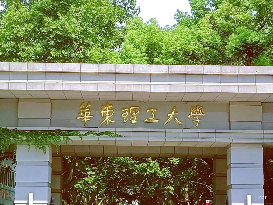 华东理工大学王牌专业