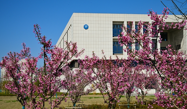 河海大学是985还是211