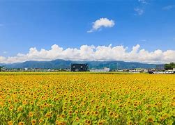 长安大学含金量
