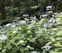 长安大学含金量