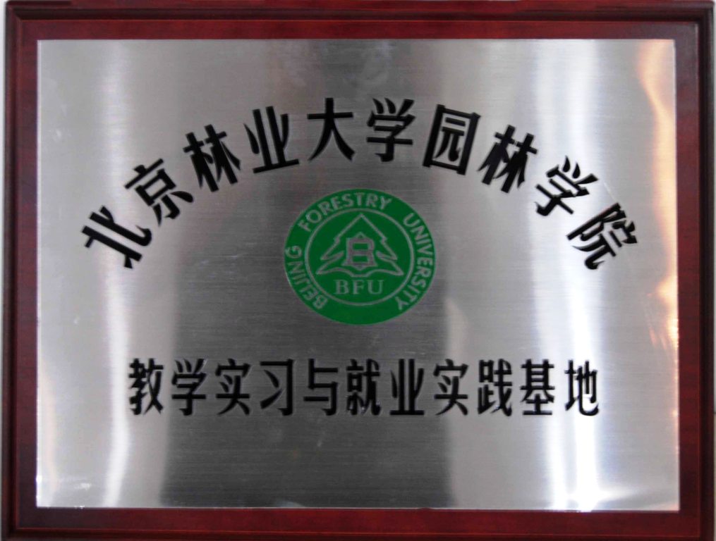 北京林业大学文凭好考吗