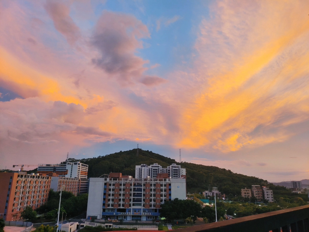 华南农业大学录取分数线2024