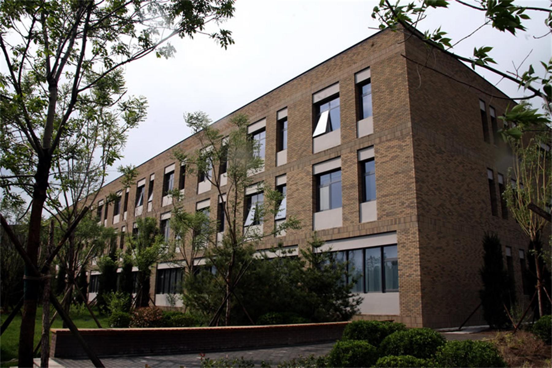 中央财经大学毕业照