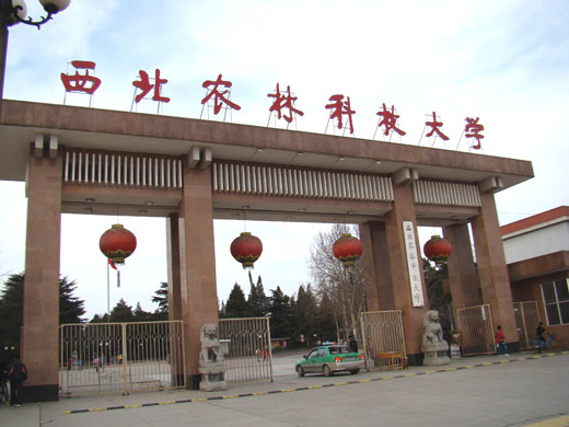 西北农林科技大学毕业证查询