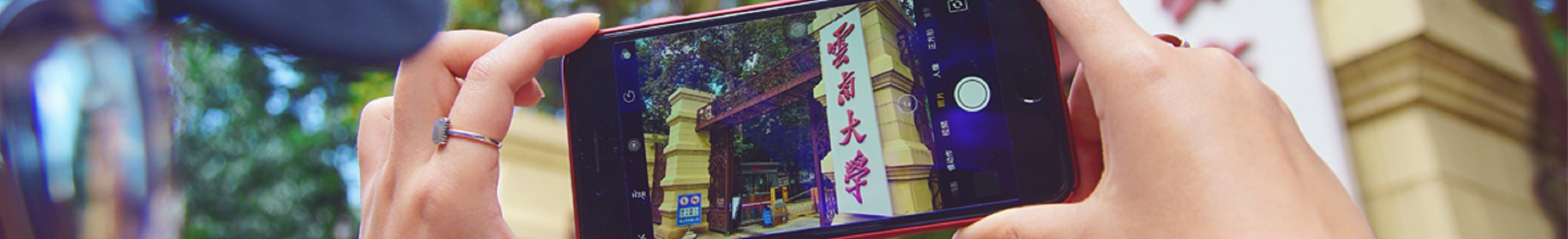 云南大学毕业证学位证