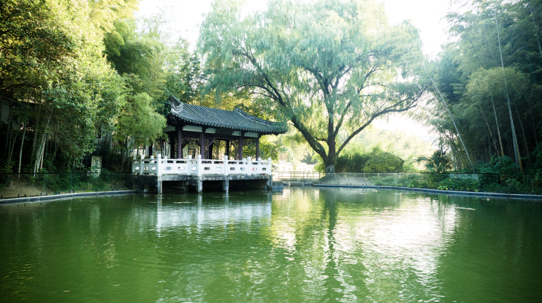 南京大学全国排名第几