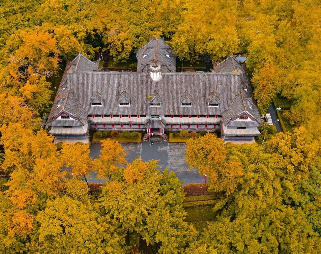 重庆大学王牌专业