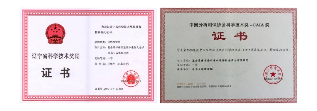 东北大学学历社会认可度高吗